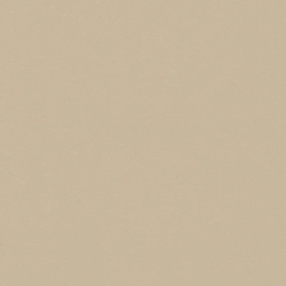 08 Avorio