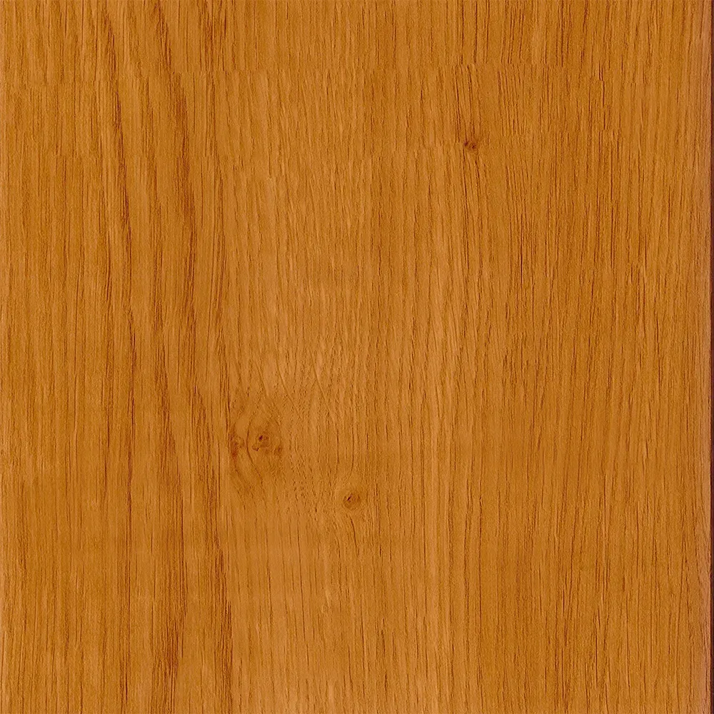 Quercia irlandese